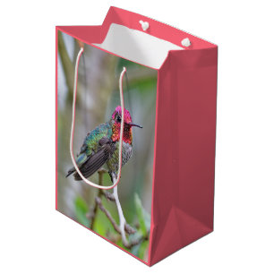 Atemberaubende Anna-Hummingbird im Pflaumenbaum Mittlere Geschenktüte
