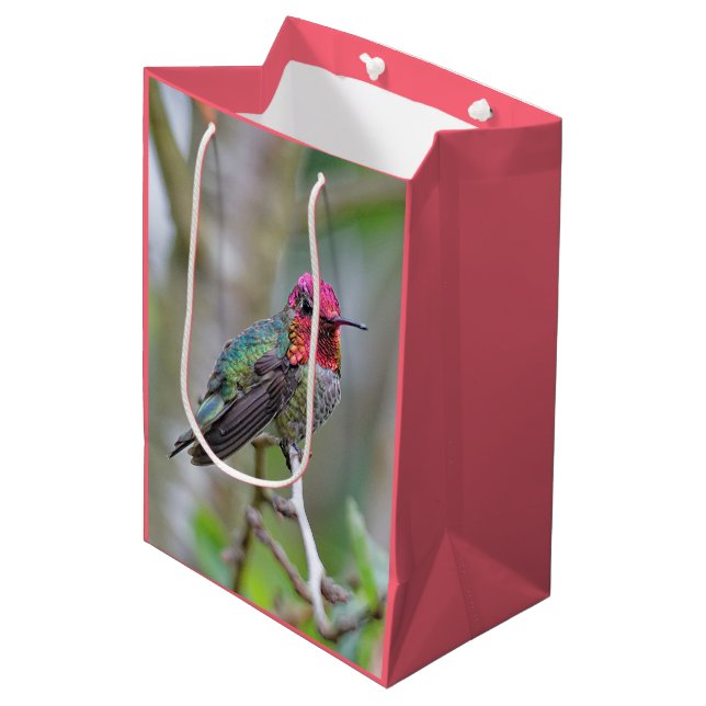 Atemberaubende Anna-Hummingbird im Pflaumenbaum Mittlere Geschenktüte (Vorderseite Schrägansicht)
