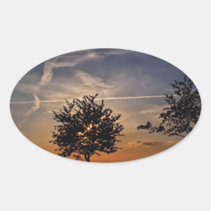 Atemberaubende Bäume, Sonnenuntergang Naturlandsch Ovaler Aufkleber