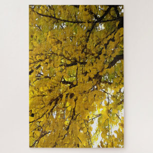 Atemberaubende Blätter Herbst Abstrakte Kunst