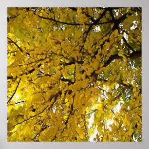 Atemberaubende Blätter Herbst Abstrakte Kunst Poster