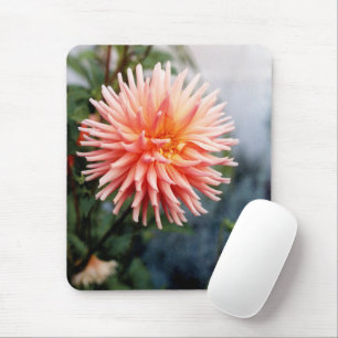 Atemberaubende Dahlia-Blüte Mousepad