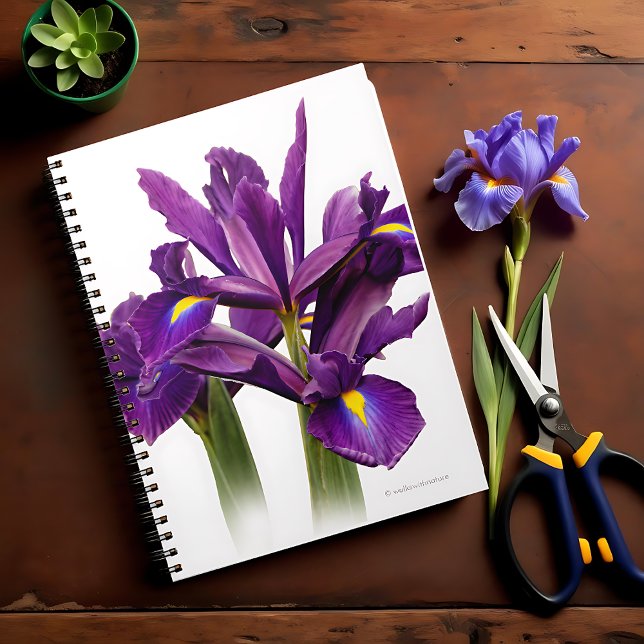 Atemberaubende Dutch Iris Lila Sensation Blume Notizblock (Stunning Dutch Iris Purple Sensation Journal Cover Photo)