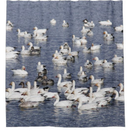 Atemberaubende Flock von Schneegänse am Strand Duschvorhang