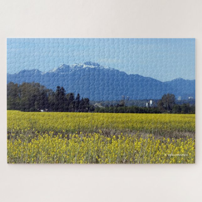 Atemberaubende Frühlingsfelder von Gold Futterrett (Horizontal)
