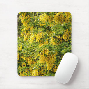 Atemberaubende Goldene Kette / Laburnum Tree Mousepad