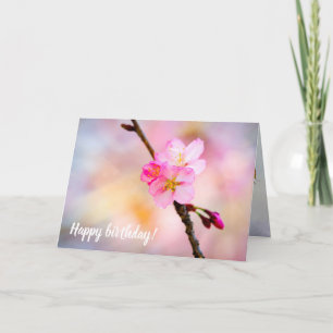 Atemberaubende Gruppe von Sakura-Blume im Frühjahr Karte