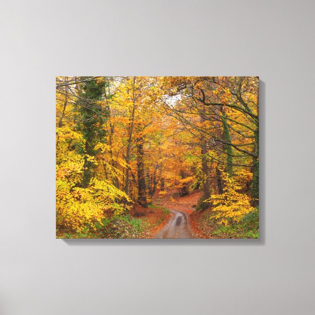 Atemberaubende Herbstfarben mit Pfad Leinwanddruck (Vorderseite)