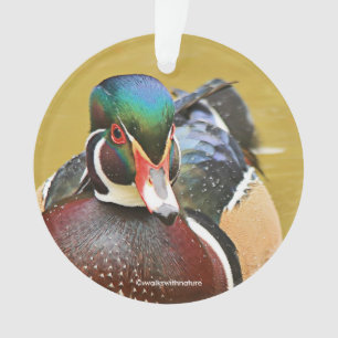 Atemberaubende Holzente im Teich Ornament
