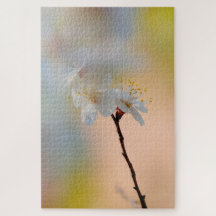 Atemberaubende japanische Apricot-Blume