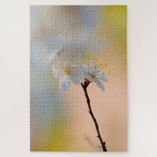 Atemberaubende japanische Apricot-Blume