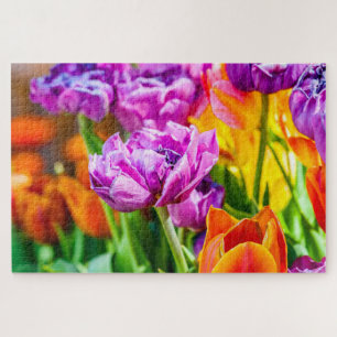 Atemberaubende Lila Parrot Tulip Blume