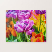 Atemberaubende Lila Parrot Tulip Blume im Frühjahr