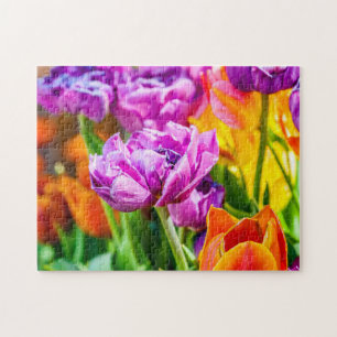 Atemberaubende Lila Parrot Tulip Blume im Frühjahr