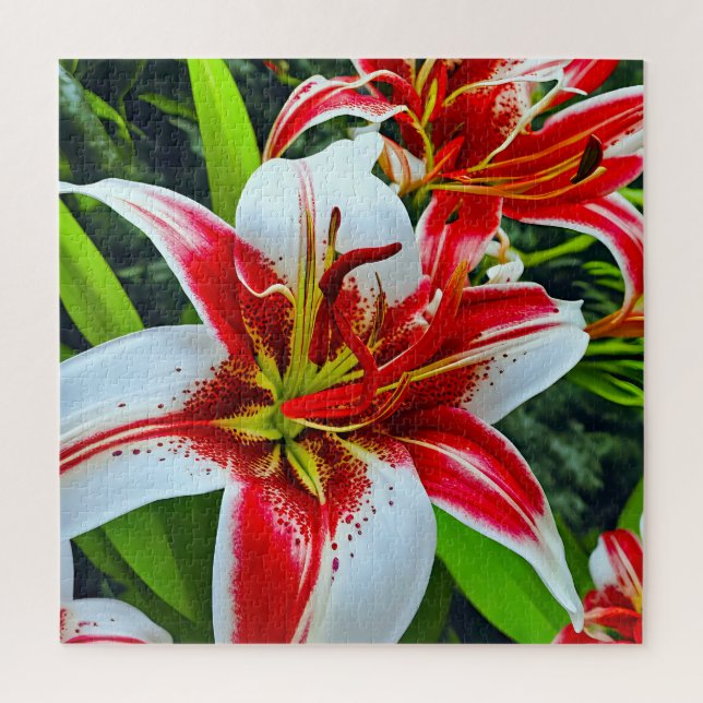 Atemberaubende Lilien (Vertikal)