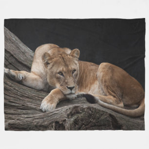 Atemberaubende Lügnerin Fleecedecke