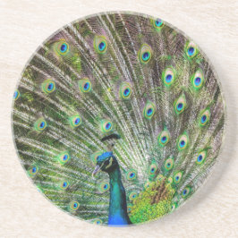 Atemberaubende Pfau- und Federn Zubehör für Fotos Getränkeuntersetzer