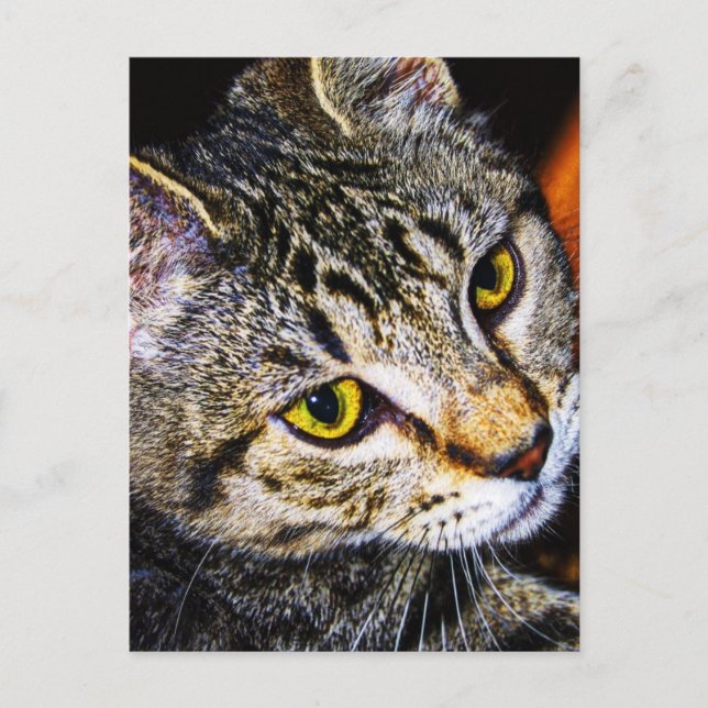 Atemberaubende Postkarte (Vorderseite)