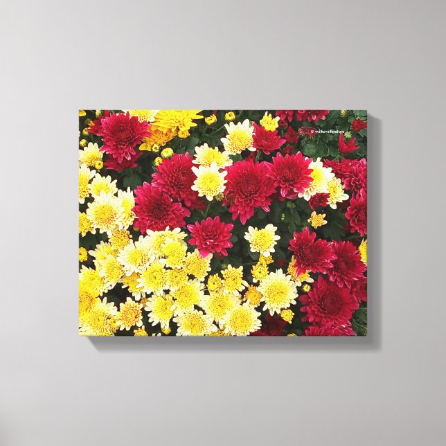 Atemberaubende Red Gold Herbst Chrysanthema Blume Leinwanddruck (Vorderseite)