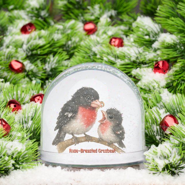 Atemberaubende Rose Brustkorb Schneekugeln (Weihnachten)