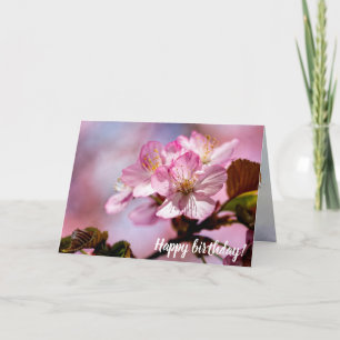 Atemberaubende Sakura-Blume mit rosa Farbtupfern Karte