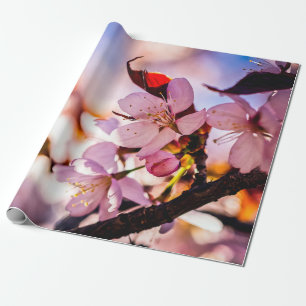 Atemberaubende Sakura-Blüten Geschenkpapier
