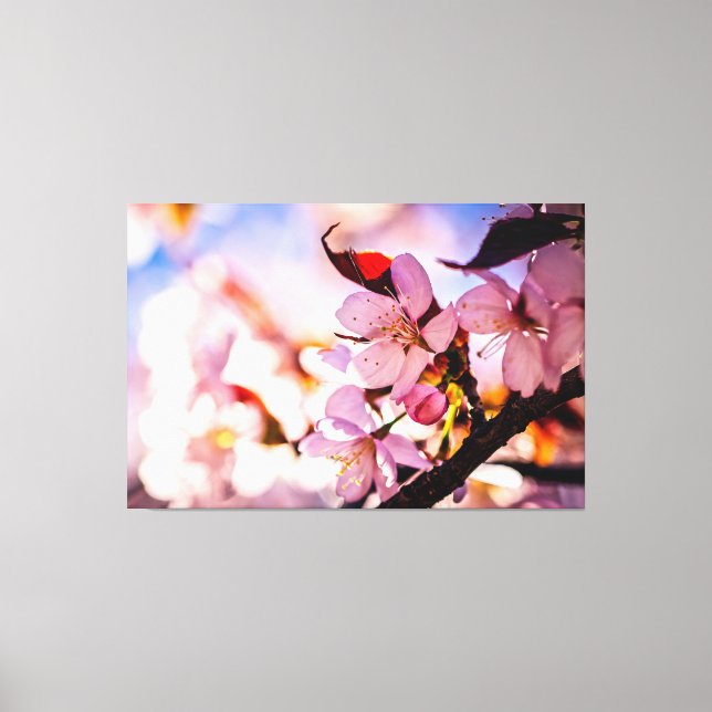 Atemberaubende Sakura-Blüten Leinwanddruck (Vorderseite)