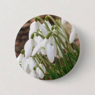 Atemberaubende Schneeverfahren Button
