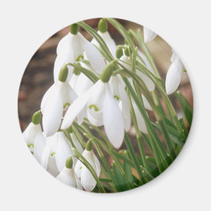Atemberaubende Schneeverfahren Magnet