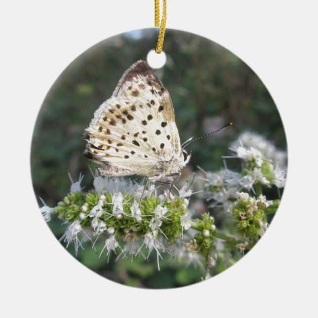 Atemberaubende Schokolade Keramik Ornament (Vorne)