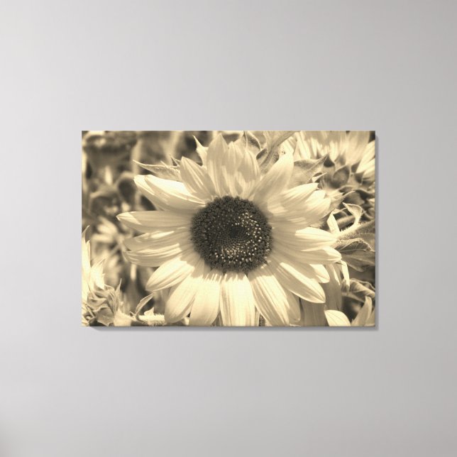 Atemberaubende Sonnenblume Leinwanddruck (Vorderseite)