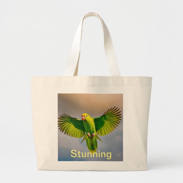 Atemberaubende Taschen (Vorne)