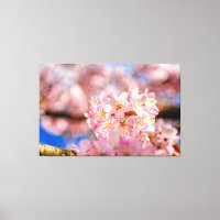 Atemberaubende und Phantastische rosa Sakura-Blume