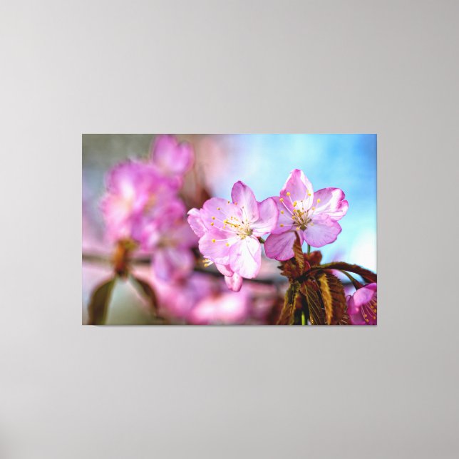 Atemberaubende und Phantastische Sakura-Blume im F Leinwanddruck (Vorderseite)