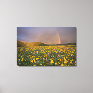 Atemberaubende Wildblumenwiese bei Sonnenaufgang i Leinwanddruck