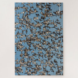 Atemberaubende Winterenten im Flug