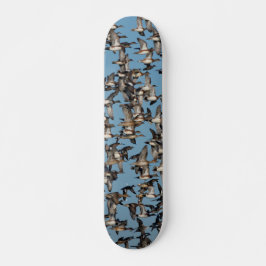Atemberaubende Winterenten im Flug Skateboard