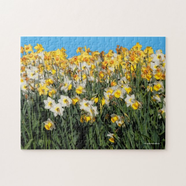 Atemberaubende Zwei-Tonen-Dioden Blumenfotografie (Horizontal)