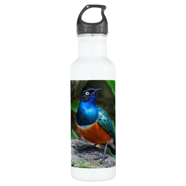 Atemberaubender Afrikanischer Superstar Starling S Edelstahlflasche (Vorderseite)