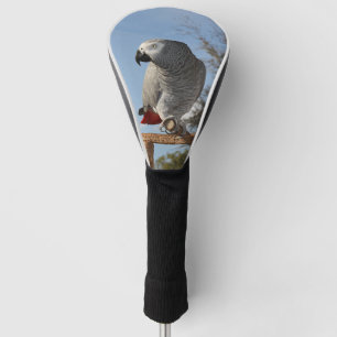 Atemberaubender afrikanisches Grau-Papagei Golf Headcover