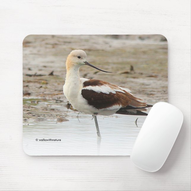 Atemberaubender American Avocet Wading Bird am Str Mousepad (Mit Mouse)