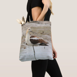Atemberaubender American Avocet Wading Bird am Str Tasche