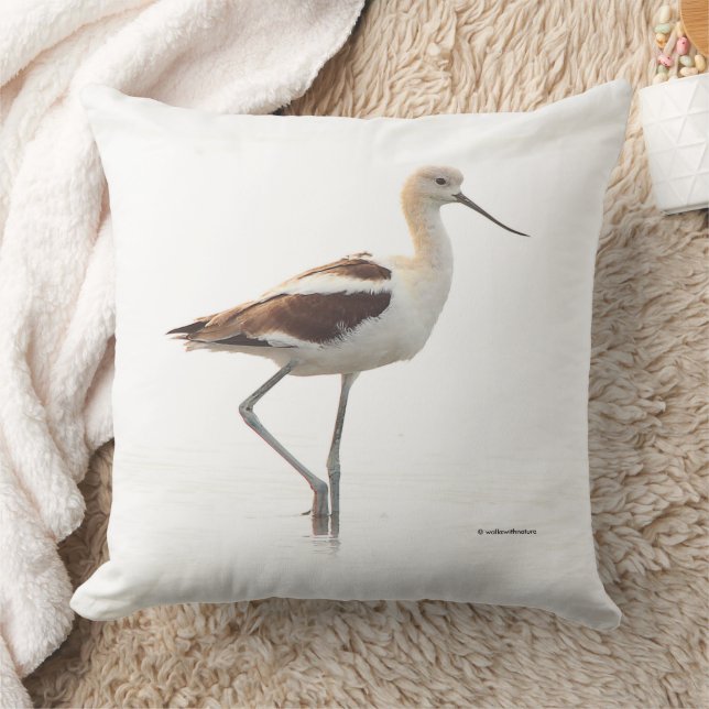 Atemberaubender amerikanischer Avocet-Vogel am Str Kissen (Decke)