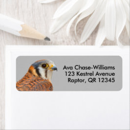 Atemberaubender amerikanischer Kestrel Sparrowhawa