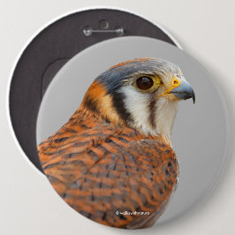 Atemberaubender amerikanischer Kestrel Sparrowhawa Button