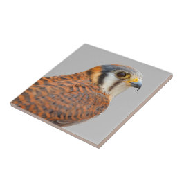 Atemberaubender amerikanischer Kestrel Sparrowhawa Fliese