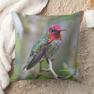 Atemberaubender Anna-Hummingbird im Pflaumenbaum Kissen