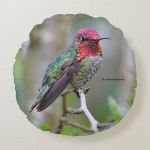 Atemberaubender Anna-Hummingvogel auf dem Pflaumen Rundes Kissen