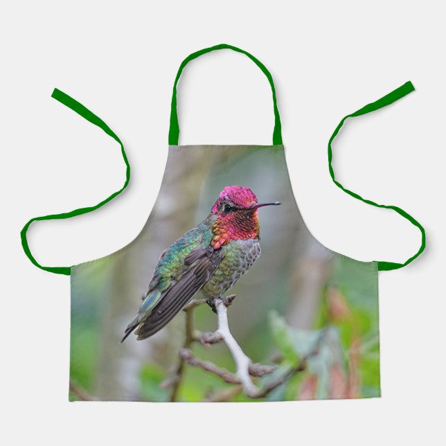 Atemberaubender Anna-Hummingvogel auf dem Pflaumen Schürze (Vorderseite)