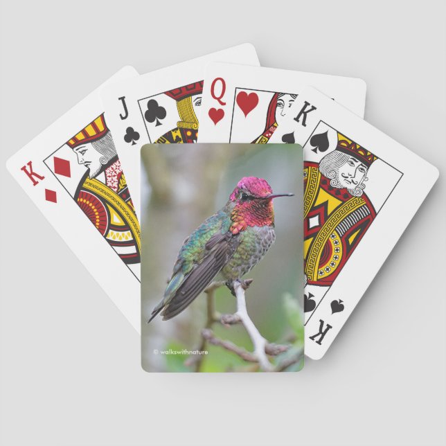 Atemberaubender Anna-Hummingvogel auf dem Pflaumen Spielkarten (Rückseite)